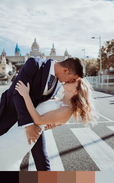 Bride and Groom Kiss color palette