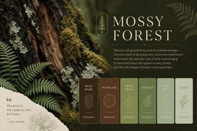 Mossy Forest