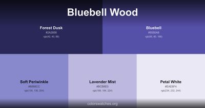 Bluebell Wood