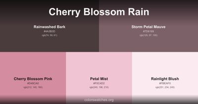 Cherry Blossom Rain