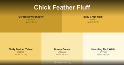 Chick Feather Fluff