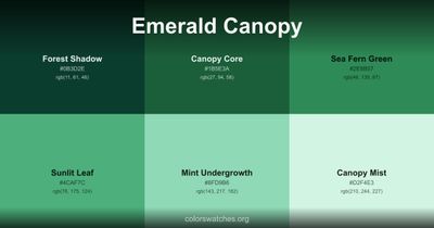 Emerald Canopy