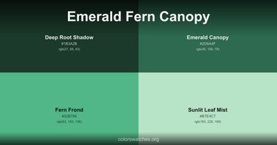 Emerald Fern Canopy