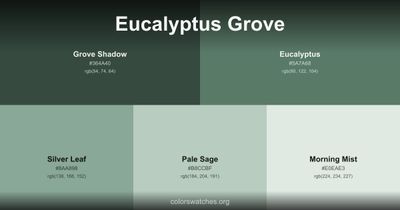 Eucalyptus Grove