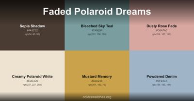 Faded Polaroid Dreams