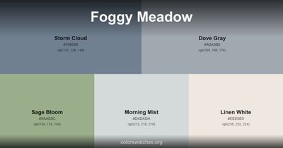 Foggy Meadow