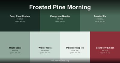 Frosted Pine Morning