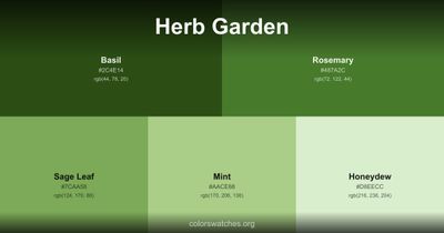 Herb Garden
