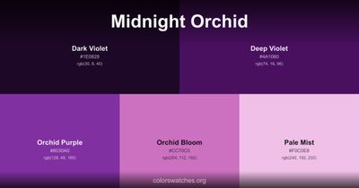Midnight Orchid