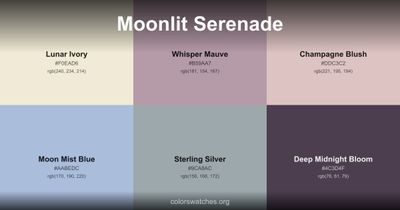 Moonlit Serenade