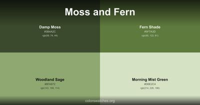 Moss and Fern