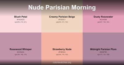 Nude Parisian Morning
