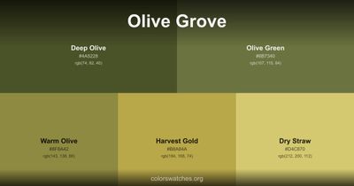 Olive Grove