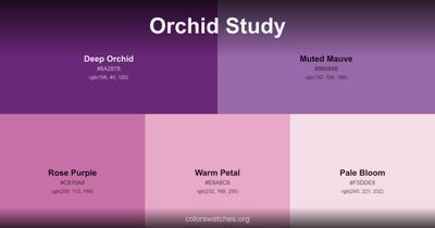 Orchid Study