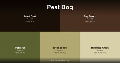 Peat Bog