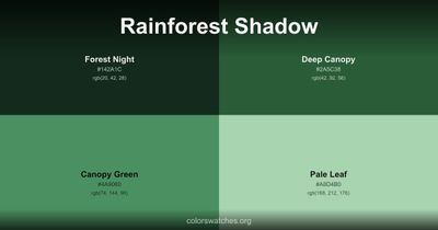 Rainforest Shadow