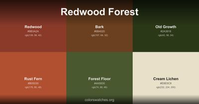 Redwood Forest