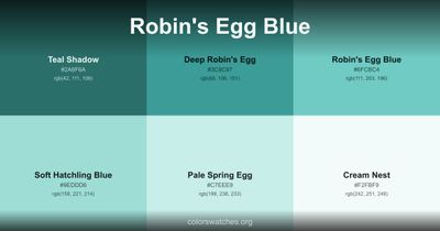 Robin's Egg Blue