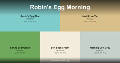 Robin's Egg Morning