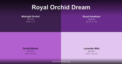 Royal Orchid Dream