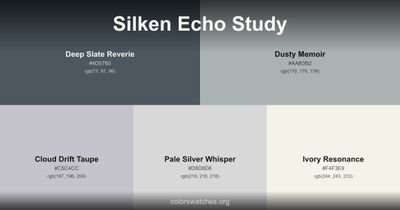 Silken Echo Study
