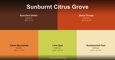 Sunburnt Citrus Grove