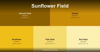 Sunflower Field