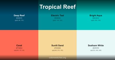 Tropical Reef