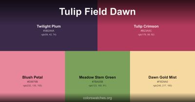Tulip Field Dawn