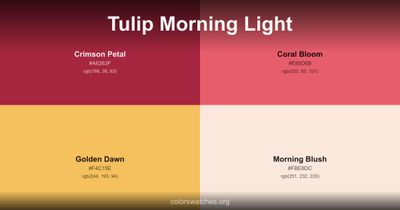 Tulip Morning Light