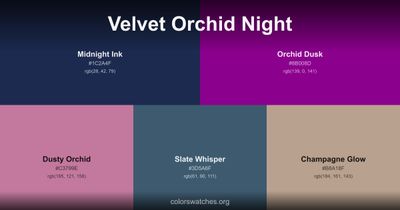 Velvet Orchid Night