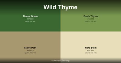 Wild Thyme