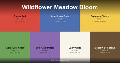 Wildflower Meadow Bloom